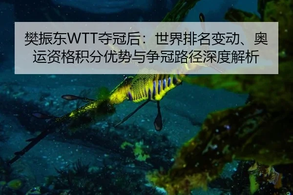 樊振东WTT夺冠后：世界排名变动、奥运资格积分优势与争冠路径深度解析