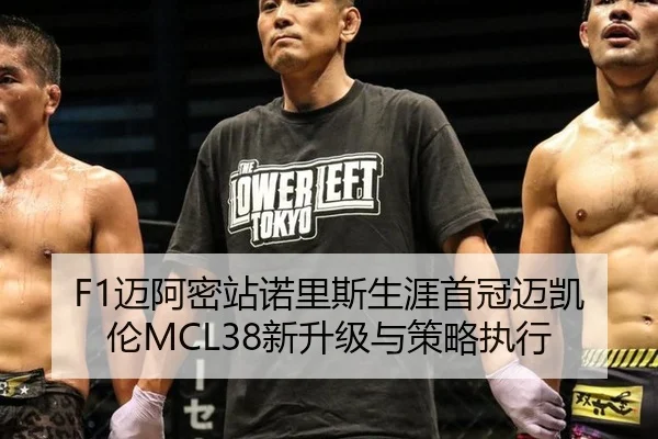 mai-a-mi-zhan-nuo-li-si-sheng-ya-shou-guan-mai-kai-lun-xin-sheng-ji-yu-ce-lve-zhi-xing-2-585.jpg